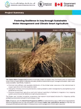 Project Summary Brochure