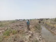 BPH Sampling in Muthana