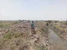 BPH Sampling in Muthana