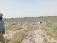 BPH Sampling in Muthana