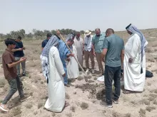 BPH Sampling in Muthana