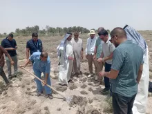BPH Sampling in Muthana