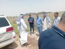 BPH Sampling in Muthana
