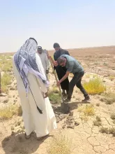 BPH Sampling in Muthana