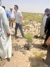 BPH Sampling in Muthana