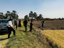 BPH Sampling in Dhi Qar