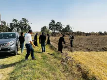 BPH Sampling in Dhi Qar