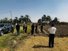 BPH Sampling in Dhi Qar