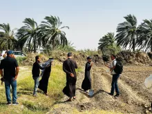 BPH Sampling in Dhi Qar