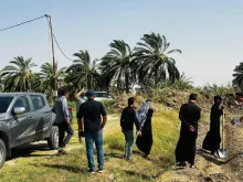 BPH Sampling in Dhi Qar