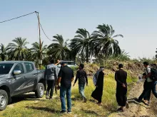 BPH Sampling in Dhi Qar