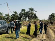 BPH Sampling in Dhi Qar