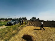 BPH Sampling in Dhi Qar