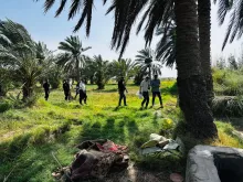 BPH Sampling in Dhi Qar