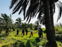 BPH Sampling in Dhi Qar