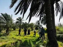 BPH Sampling in Dhi Qar