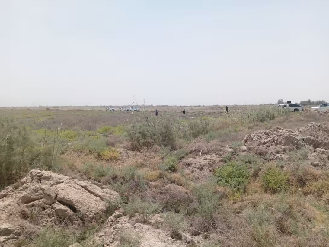 BPH Sampling in Muthana