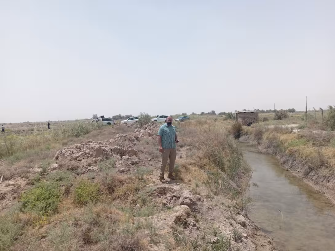 BPH Sampling in Muthana