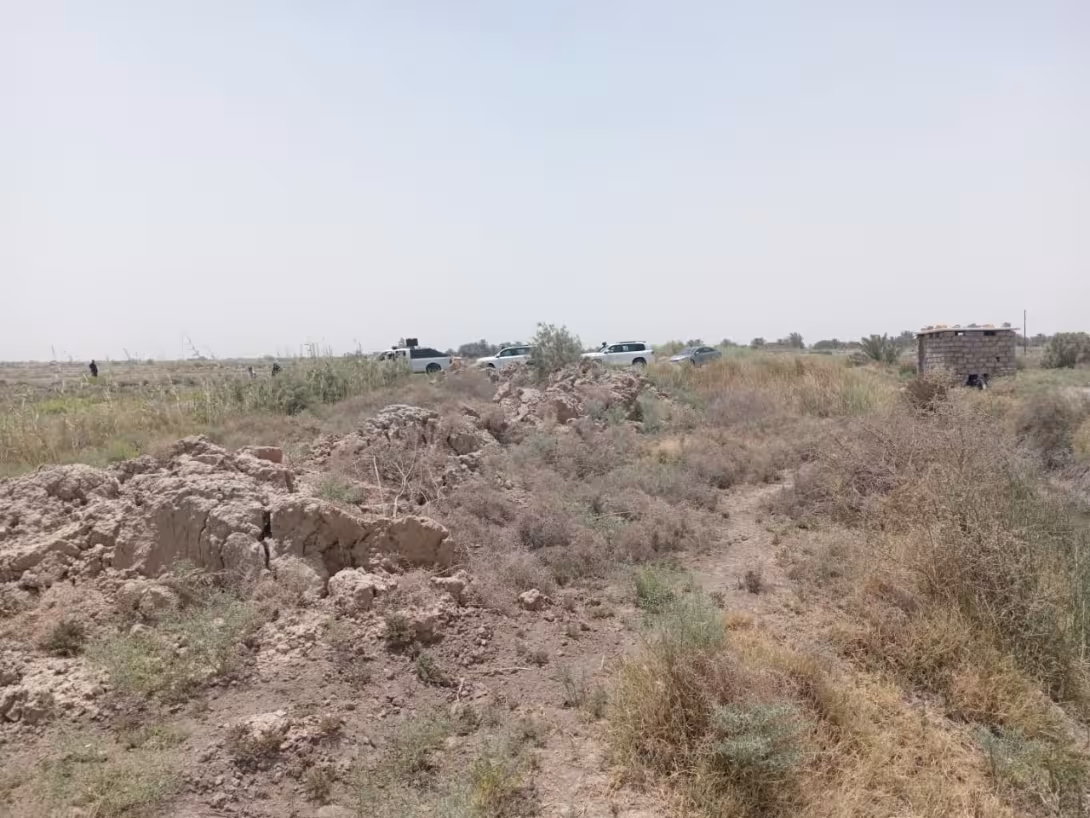 BPH Sampling in Muthana