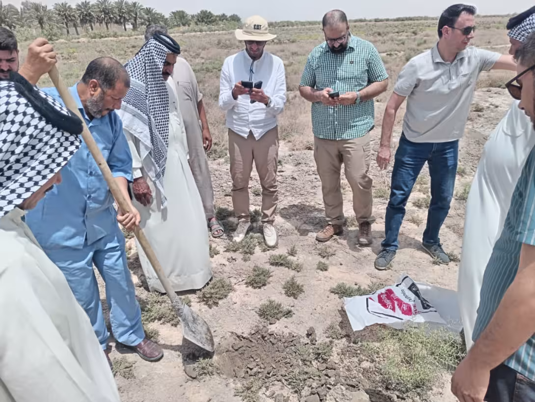 BPH Sampling in Muthana