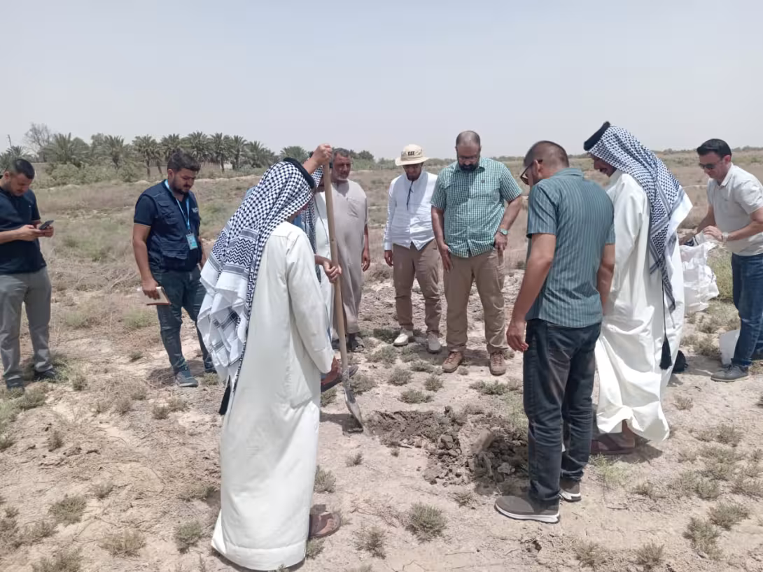 BPH Sampling in Muthana