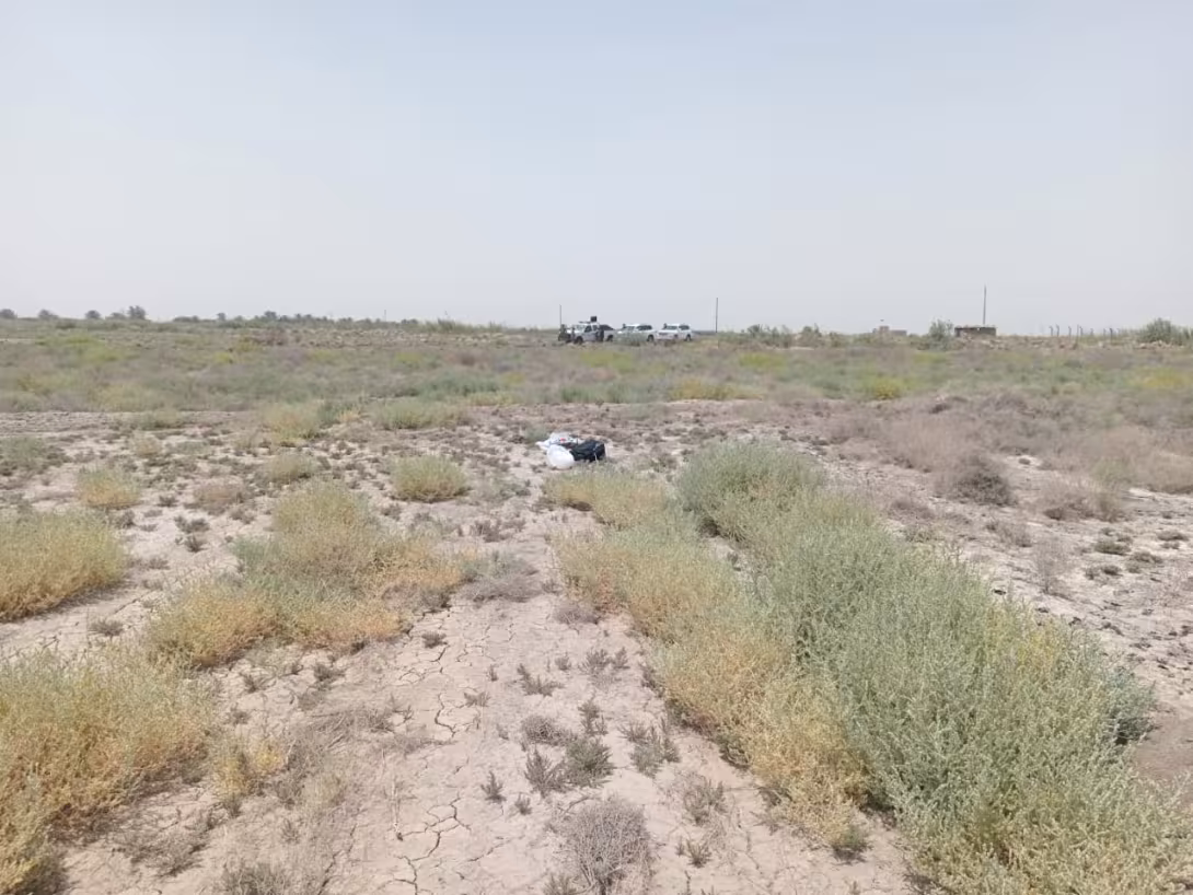 BPH Sampling in Muthana