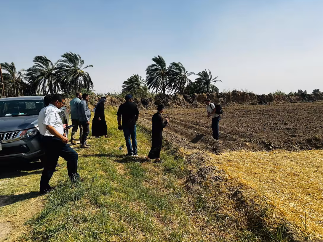 BPH Sampling in Dhi Qar