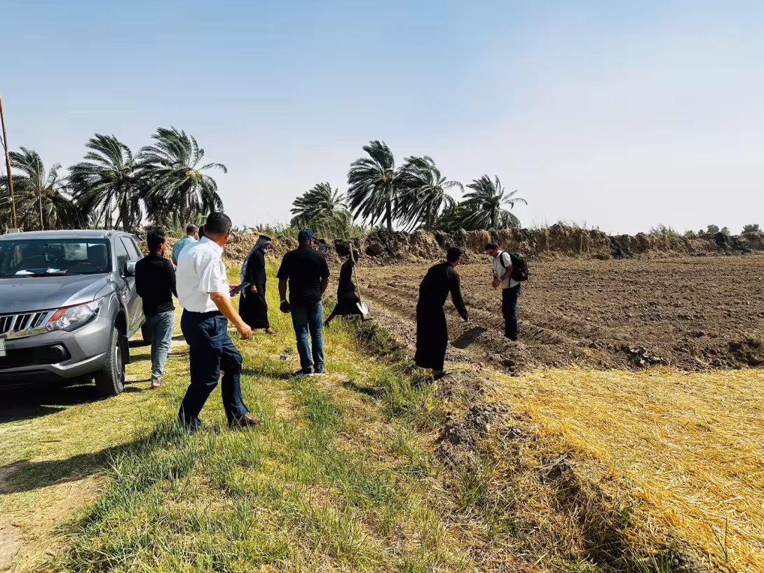 BPH Sampling in Dhi Qar