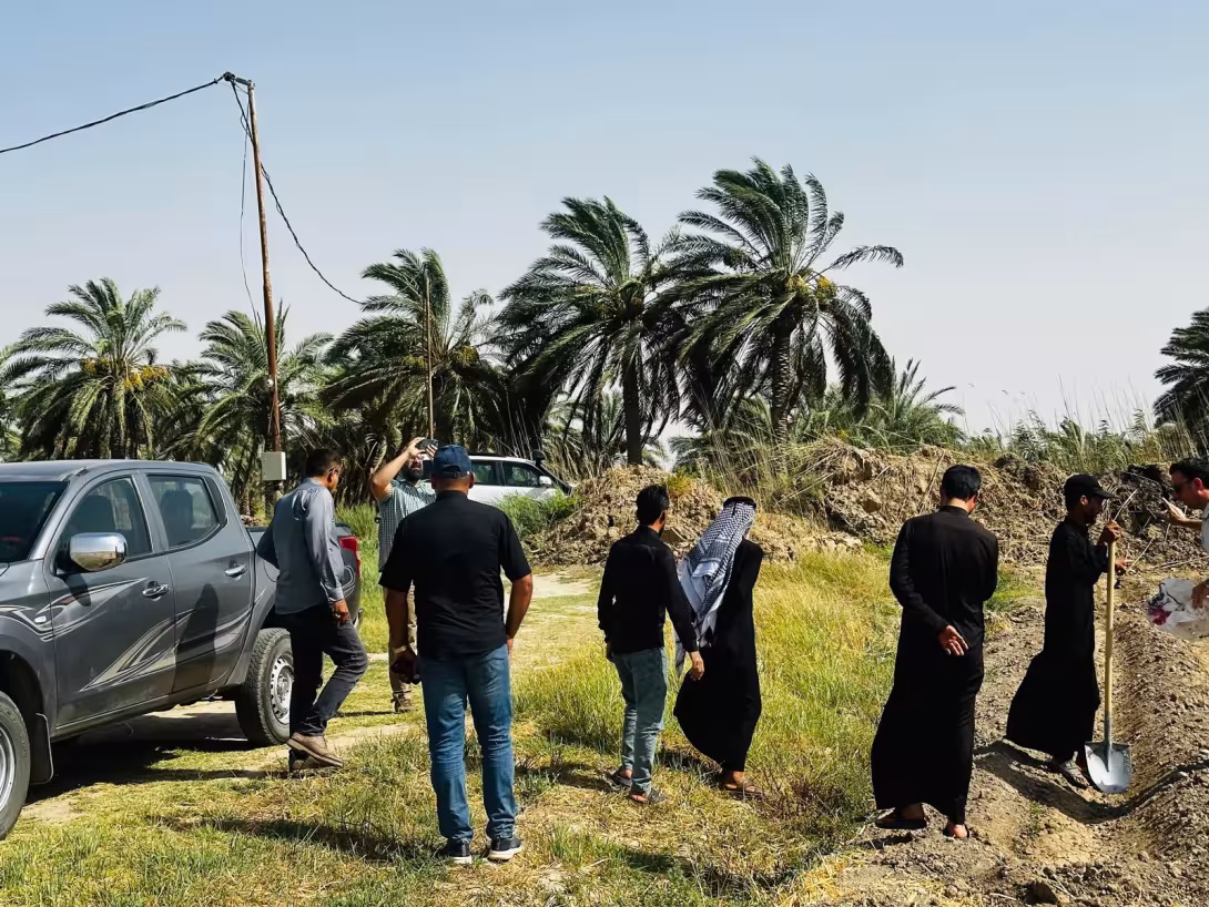 BPH Sampling in Dhi Qar