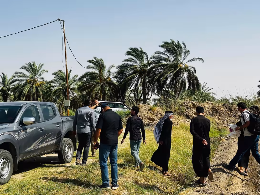 BPH Sampling in Dhi Qar