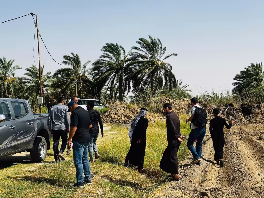 BPH Sampling in Dhi Qar