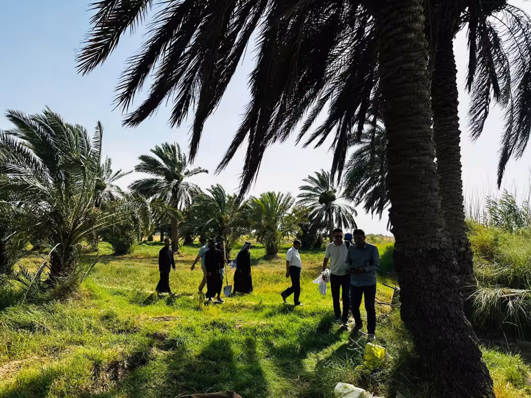 BPH Sampling in Dhi Qar